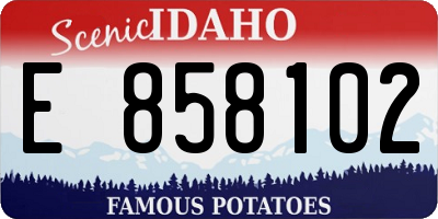 ID license plate E858102
