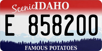 ID license plate E858200