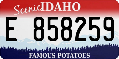 ID license plate E858259