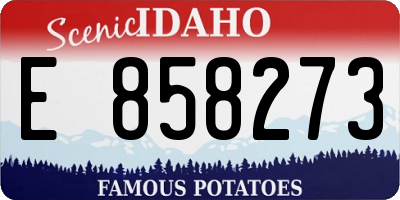 ID license plate E858273