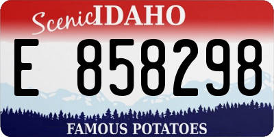 ID license plate E858298