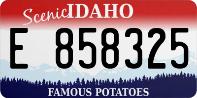 ID license plate E858325