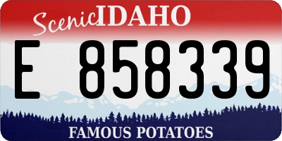 ID license plate E858339