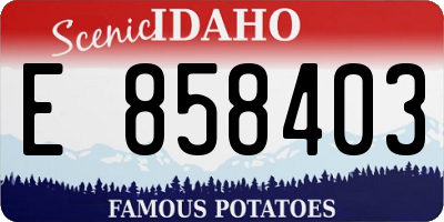 ID license plate E858403