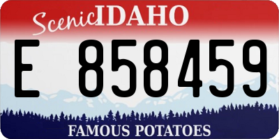 ID license plate E858459