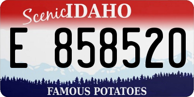 ID license plate E858520