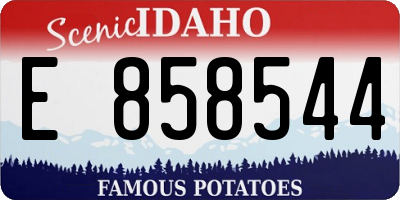 ID license plate E858544