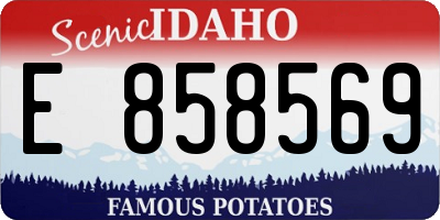 ID license plate E858569