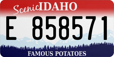ID license plate E858571