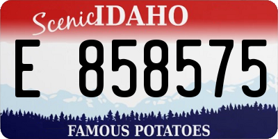 ID license plate E858575