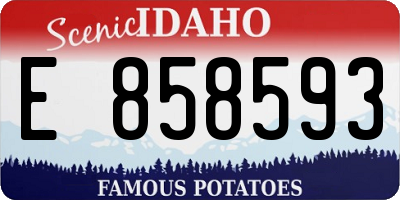ID license plate E858593
