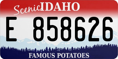 ID license plate E858626
