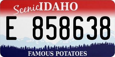 ID license plate E858638