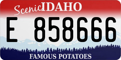 ID license plate E858666