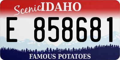 ID license plate E858681