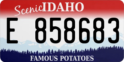 ID license plate E858683