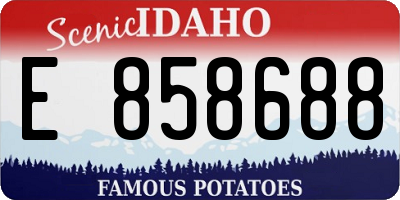 ID license plate E858688