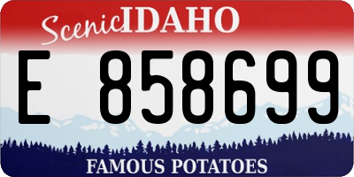 ID license plate E858699