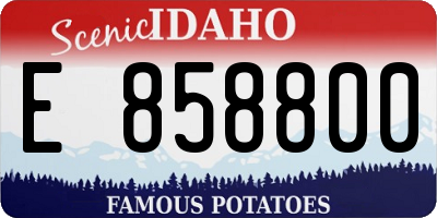ID license plate E858800