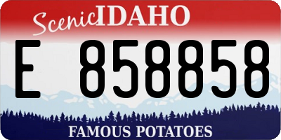 ID license plate E858858