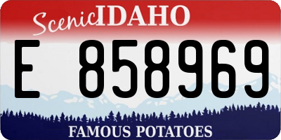 ID license plate E858969