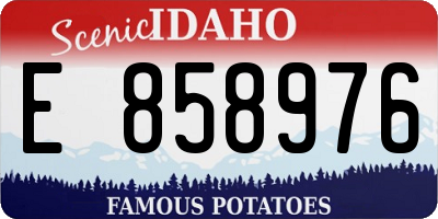 ID license plate E858976