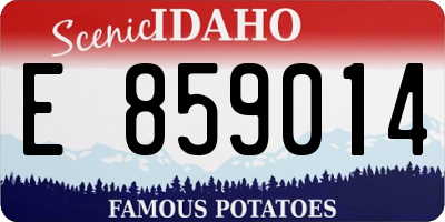 ID license plate E859014