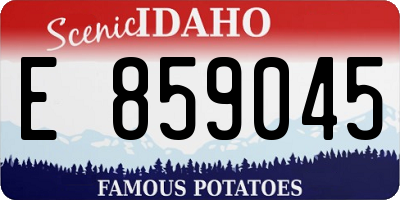 ID license plate E859045
