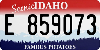 ID license plate E859073