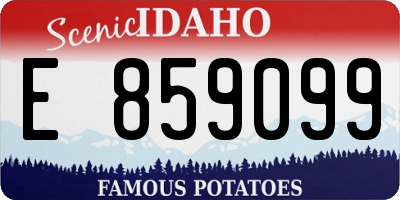 ID license plate E859099
