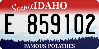 ID license plate E859102