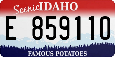 ID license plate E859110