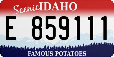 ID license plate E859111