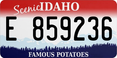 ID license plate E859236