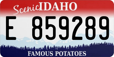 ID license plate E859289