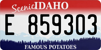 ID license plate E859303