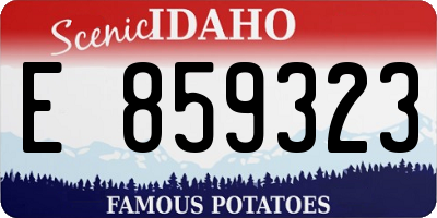 ID license plate E859323