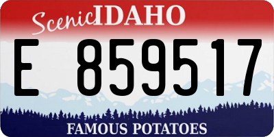 ID license plate E859517