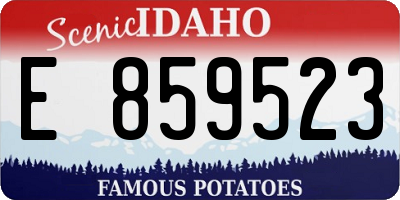 ID license plate E859523