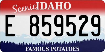 ID license plate E859529