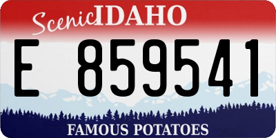 ID license plate E859541