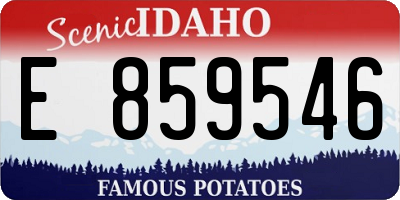 ID license plate E859546