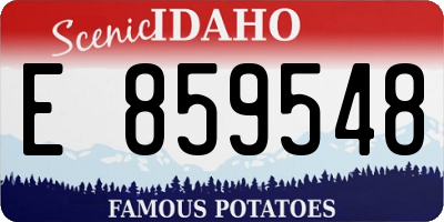 ID license plate E859548