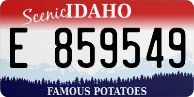 ID license plate E859549