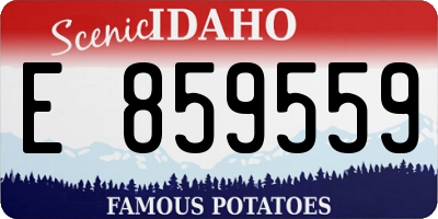 ID license plate E859559