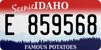 ID license plate E859568