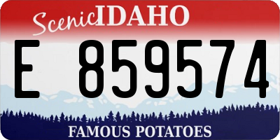 ID license plate E859574