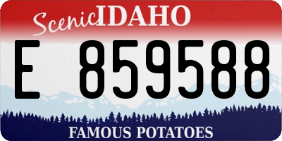 ID license plate E859588