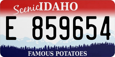 ID license plate E859654