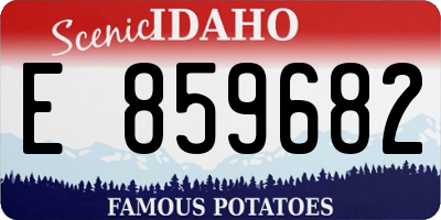 ID license plate E859682